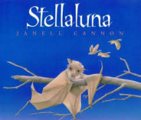 Image of Stellaluna