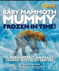 Image of Baby Mammoth Mummy Frozen in Time!