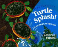 Image of Turtle Splash